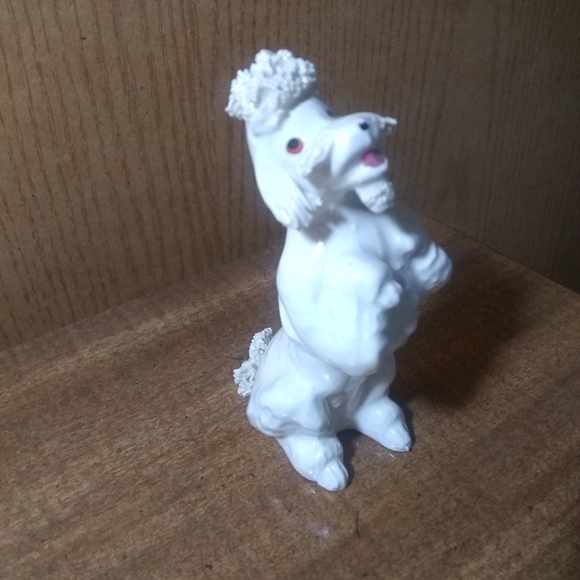 Spaghetti poodle - Picture 1 of 2